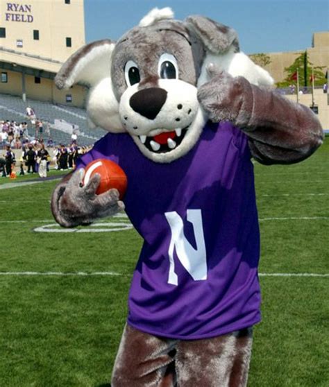 Northwestern sports mascot identifier